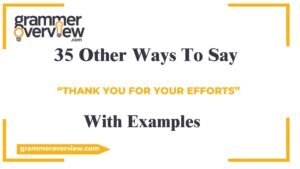 Other Ways to Say “Thank you for your efforts”