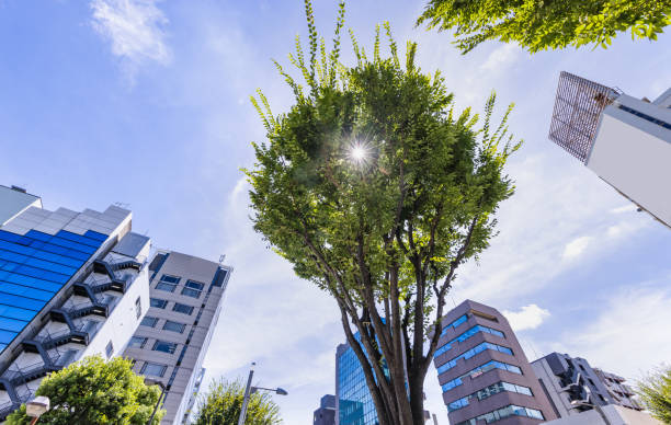 Breathing Easier Urban Centers