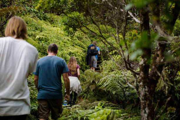Kauai Horseback Riding Tours