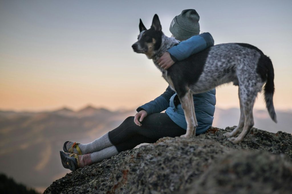 Travelling Dog Needs a GPS Tracker