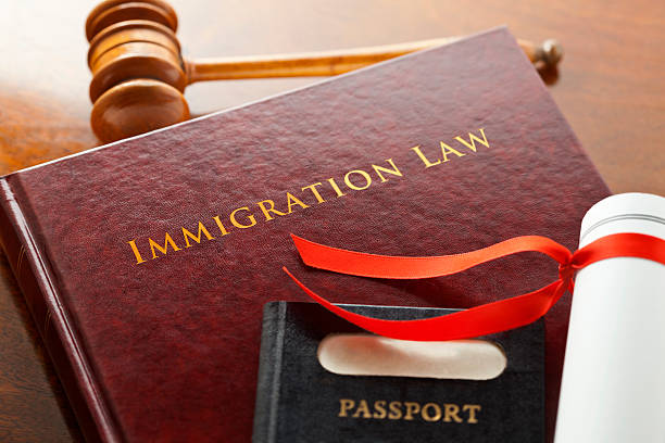 use an immigration lawyer