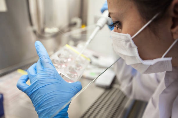 How can you test your fertility?
