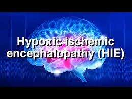 Makes Hypoxic-Ischemic