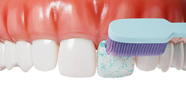 Gum And Tooth Health