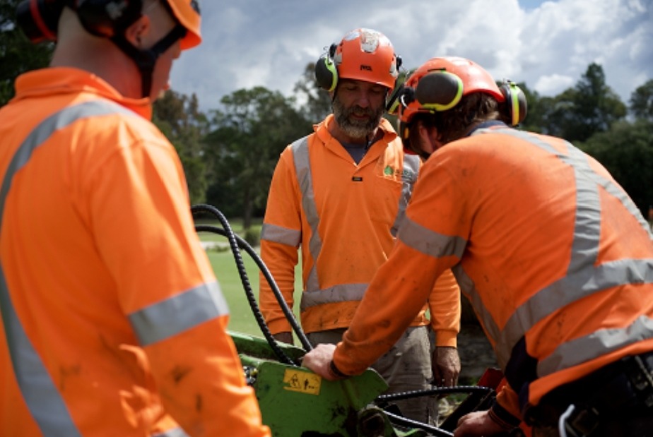 How Expert Tree Care Improves Safety and Property Value