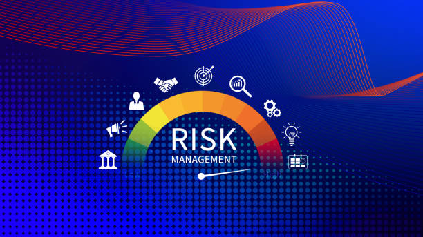 The Role Of Firms In Providing Risk Management Insights