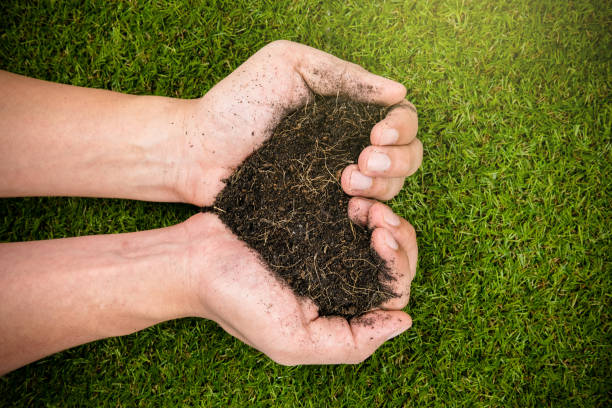 Lawn Care Habits Change with Ageing Soil